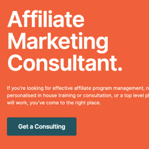 Affiliate Marketing Consultant - "30min/$40"